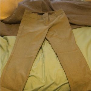 The limited drew fit dress pants